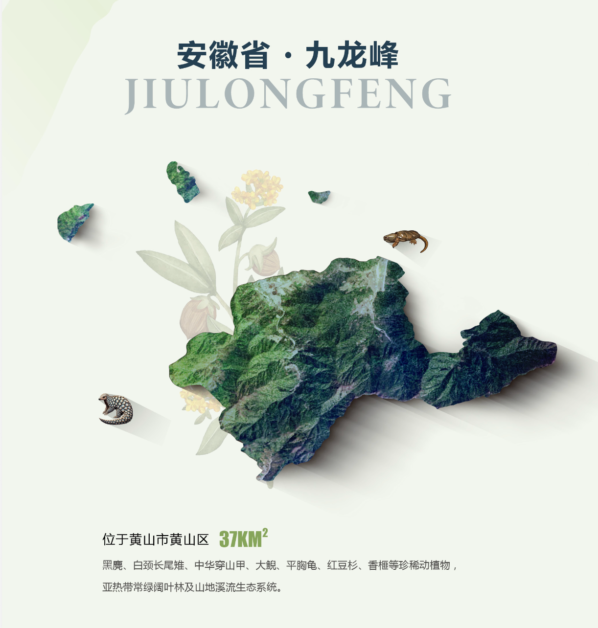 九龙峰保护地