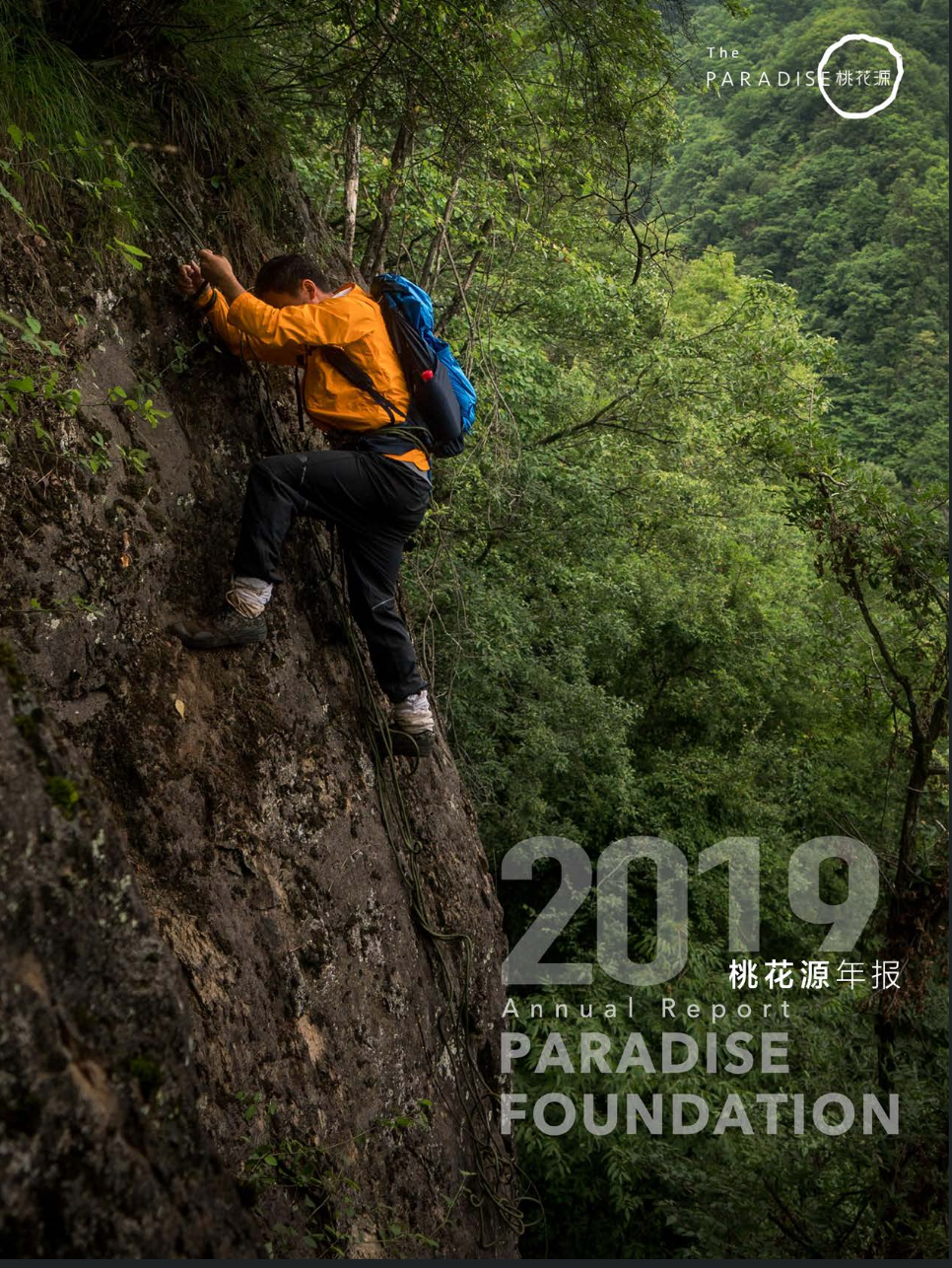 2019 年报