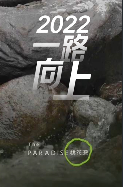 2022 年报