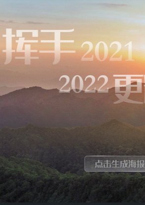 2021 年报