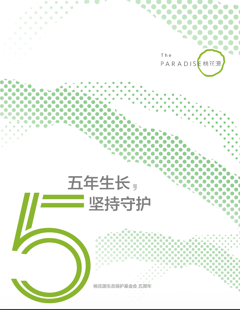 2015-2020 年报
