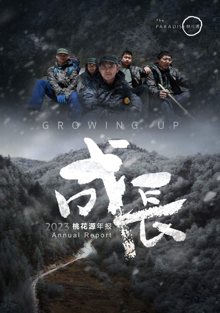 2023 年报