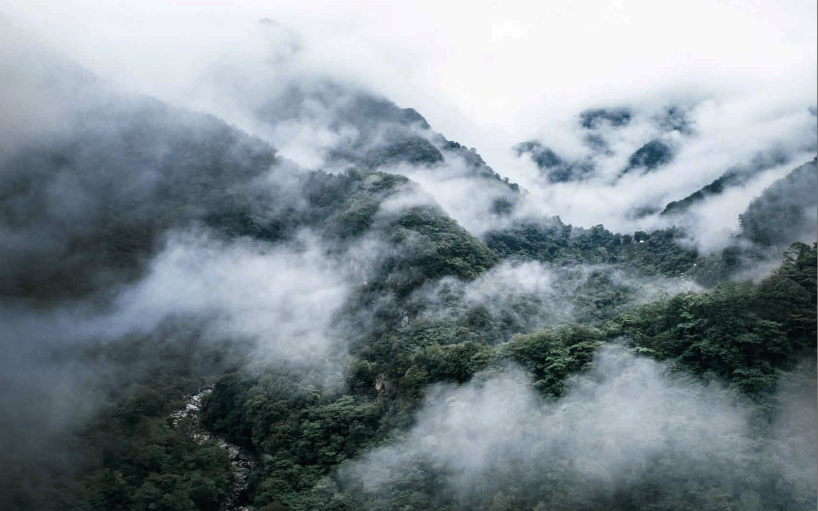 云雾缠绕的山脉