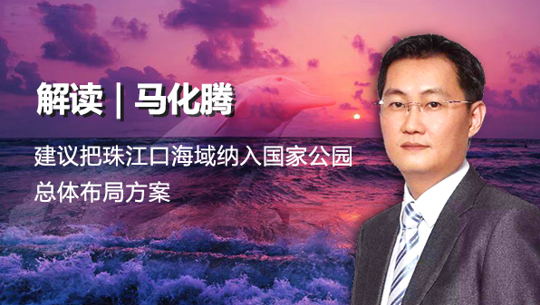 解读 | 马化腾建议把珠江口海域纳入国家公园总体布局方案