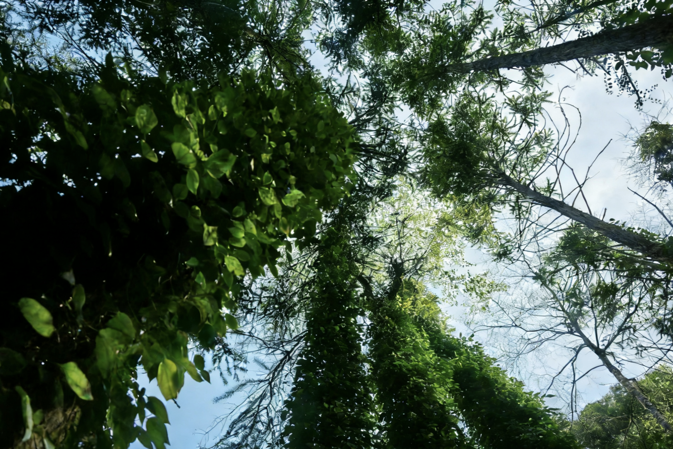 山思在自动巡检中发现异常