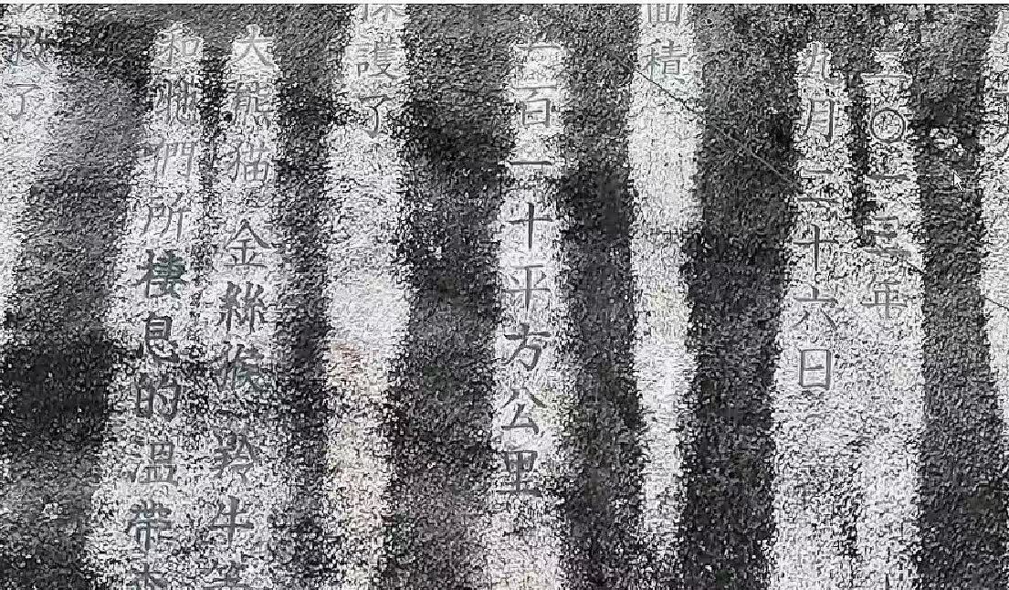 厘米级数字孪生