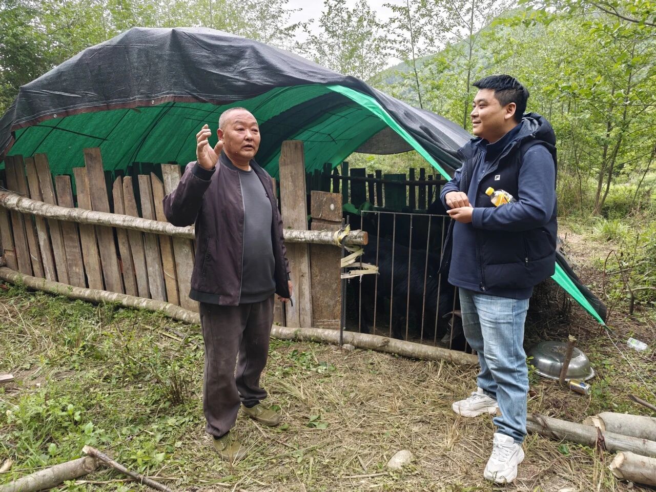 山思帮村民找回 16 只走丢的羊 配图 4