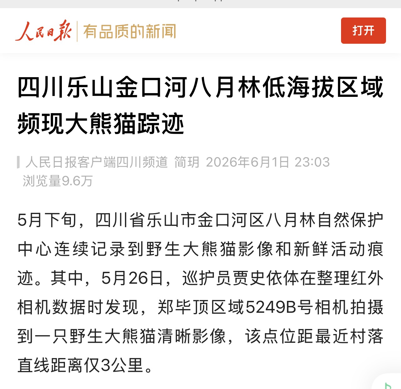 人民日报：八月林保护地低海拔区域频现大熊猫踪迹