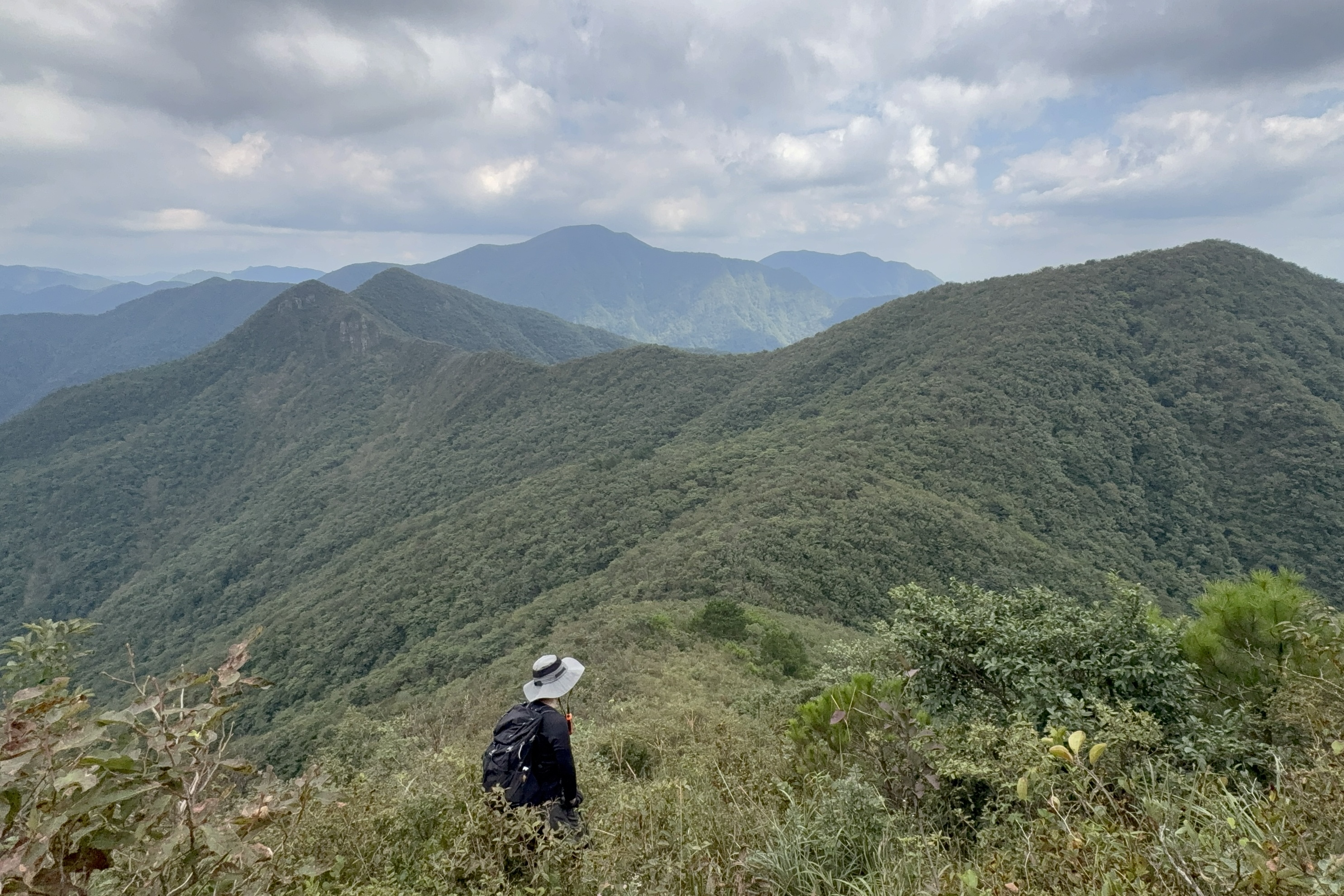 桃花源九龙峰保护地巡护员 金珂 拍摄
