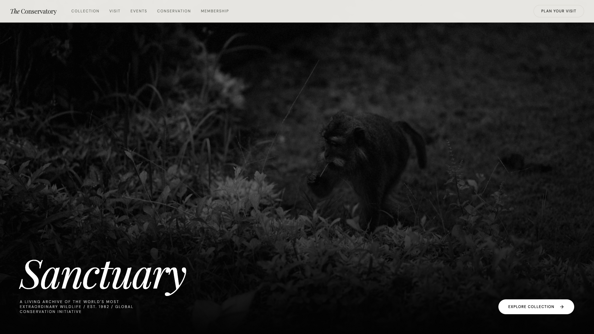 野生动物保护与自然教育平台 - superun AI 模板预览